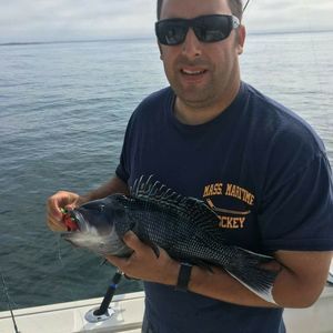 Meet your Posher, Paul